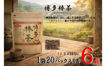博多棒茶６袋セット