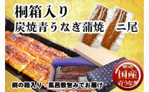 桐箱入り　炭焼うな富士国産青うなぎ長焼二尾