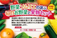 【定期便6回】野菜ソムリエの選ぶ旬のお野菜と果物セット