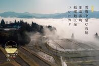 【令和7年産新米予約】【定期便】「雲海米」南魚沼塩沢産コシヒカリ　精米5kg x 全12回【2025年10月1日より順次発送予定】