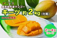 【2022年発送】キーツマンゴー約2kg（化粧）