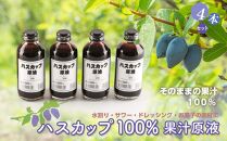 ハスカップ100％果汁原液 ４本セット【ポイント交換専用】