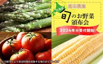 《2024年発送》富田農園 旬のお野菜 頒布会＜全３回＞