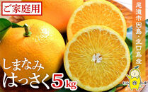 しまなみはっさく  家庭用八朔 5kg（尾道市因島・生口島産）【2026年2月上旬から発送】