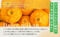 越冬完熟しらぬひ 不知火（3kg）2025年3月上旬～発送予定　フルーツ　お取り寄せ　産地直送　もりの農園　もりのデコ　柑橘　ドルチェみかん