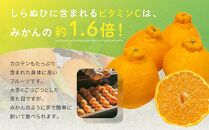 越冬完熟しらぬひ 不知火（3kg）2025年3月上旬～発送予定　フルーツ　お取り寄せ　産地直送　もりの農園　もりのデコ　柑橘　ドルチェみかん