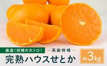 厳選！柑橘の大トロ！完熟ハウスせとか 3kg 2025年2月中旬～発送予定 | フルーツ 人気 お取り寄せ 産地直送 もりの農園　ドルチェみかん