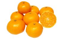 お試し！お得な柑橘詰め合わせ（約3kg）2024年3月上旬〜発送予定　フルーツ　お取り寄せ　産地直送　もりの農園