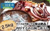 サイズは不揃いでも味は絶品!肉厚するめ烏賊一夜干し2.4kg_1904R
