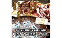 サイズは不揃いでも味は絶品!肉厚するめ烏賊一夜干し2.4kg_1904R