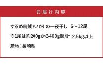 サイズは不揃いでも味は絶品!肉厚するめ烏賊一夜干し2.4kg_1904R