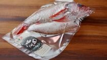 【海鮮の匠　魚政】のどぐろ熟成一汐（ノドグロ、のど黒、アカムツ）250g級使用 仕上がり後 185g以上 3尾セット