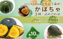 2022年秋発送☆北海道千歳産 かぼちゃ3種つめ合わせ 計10kg《土居ファーム》