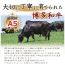 博多和牛サーロインステーキセット 500g（250g×2枚）