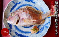 ご自宅用&nbsp;鯛の浜焼き&nbsp;特大サイズ&nbsp;一尾入り【たい天然&nbsp;真鯛&nbsp;炊き込み&nbsp;ごはんの素&nbsp;簡単&nbsp;調理&nbsp;魚&nbsp;魚介&nbsp;郷土料理&nbsp;尾道】