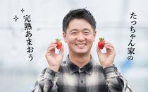 【2025年2月1日～3月31日までに発送！】有機肥料にこだわったたっちゃん家の完熟あまおう（270g×4パック）【あまおう 食品 あまおう フルーツ あまおう 果物 苺くだもの いちご 食品 イチゴ 人気 あまおう おすすめ 送料無料 福岡県 大川市 FD001】