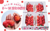 【2026年2月1日～4月30日までに発送！】有機肥料にこだわったたっちゃん家の完熟あまおう（270g×4パック）【配送不可地域：北海道・沖縄・離島】【あまおう&nbsp;食品&nbsp;あまおう&nbsp;フルーツ&nbsp;あまおう&nbsp;果物&nbsp;苺くだもの&nbsp;いちご&nbsp;食品&nbsp;イチゴ&nbsp;人気&nbsp;あまおう&nbsp;おすすめ&nbsp;送料無料&nbsp;福岡県&nbsp;大川市&nbsp;FD001】