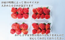 【2026年2月1日～4月30日までに発送！】有機肥料にこだわったたっちゃん家の完熟あまおう（270g×4パック）【配送不可地域：北海道・沖縄・離島】【あまおう&nbsp;食品&nbsp;あまおう&nbsp;フルーツ&nbsp;あまおう&nbsp;果物&nbsp;苺くだもの&nbsp;いちご&nbsp;食品&nbsp;イチゴ&nbsp;人気&nbsp;あまおう&nbsp;おすすめ&nbsp;送料無料&nbsp;福岡県&nbsp;大川市&nbsp;FD001】