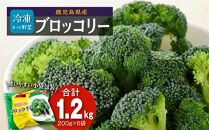 鹿児島県産&nbsp;冷凍ブロッコリー&nbsp;200g&nbsp;×&nbsp;6パック&nbsp;国産&nbsp;ブロッコリー&nbsp;冷凍&nbsp;ふるさと納税&nbsp;鹿児島県&nbsp;大崎町