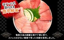 福岡市グルメ糸島海鮮堂のクロマグロ丼3食セット