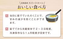 【先行予約】【数量限定】北海道産スイートコーン　１０本入　