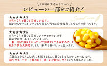 【先行予約】【数量限定】北海道産スイートコーン　１０本入　