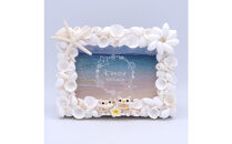 シェルシーサーのフォトフレーム（ホワイトシェル）｜沖縄　那覇市　貝 貝類 水産 食品 人気 　ギフト