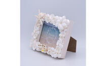 シェルシーサーのフォトフレーム（ホワイトシェル）｜沖縄　那覇市　貝 貝類 水産 食品 人気 　ギフト