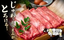 訳あり 博多和牛 しゃぶしゃぶすき焼き用 400g ( 400g×1パック ) ( 部位おまかせ ) | 牛肉 和牛 黒毛和牛 牛 スライス しゃぶしゃぶ すき焼き すきやき 焼きしゃぶ お鍋 鍋 10000円以下 1万円以下 お取り寄せ グルメ 福岡県 大川市