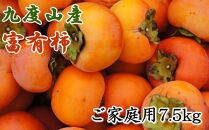 ≪柿の名産地≫九度山の富有柿約7.5kgご家庭用【2022年10月24日以降発送】