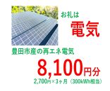 おいでんのでんき300kWh相当（8,100円分　毎月2,700円分×3ヶ月）【定期便：全3回】