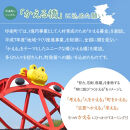塩さばフィレ２４枚入(真空パック入)