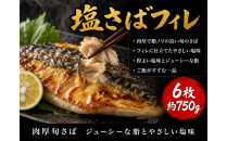 迷ったらコレ！！魚鶴商店の天然紅サケ１ｋｇ&nbsp;&&nbsp;塩さばフィレ６枚セット
