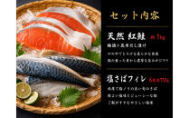 迷ったらコレ！！魚鶴商店の天然紅サケ１ｋｇ&nbsp;&&nbsp;塩さばフィレ６枚セット