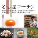業務用　日本三大地鶏！！ 「純系　名古屋コーチンの卵」（90個）　本当に美味しい食べ物は調味料の味に負けません！