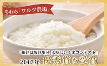 【令和4年産】コシヒカリ 無洗米 5kg 特別栽培米【食味値80以上！納得の美味しさ】減農薬 有機肥料使用 ／ お米 ご飯 白米 発送直前 精米