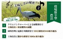 【令和4年産】コシヒカリ 無洗米 5kg 特別栽培米【食味値80以上！納得の美味しさ】減農薬 有機肥料使用 ／ お米 ご飯 白米 発送直前 精米