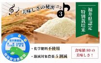 【令和4年産】コシヒカリ 無洗米 5kg 特別栽培米【食味値80以上！納得の美味しさ】減農薬 有機肥料使用 ／ お米 ご飯 白米 発送直前 精米