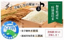 【令和4年産】《定期便》5kg×6回 30kg コシヒカリ 無洗米 特別栽培米【食味値80以上】減農薬 有機肥料使用 ／ お米 ご飯 白米 発送直前 精米