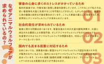【12回定期便】北海道旭川産&nbsp;低温殺菌牛乳900ml×3本_00251