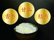 【令和7年産】【南魚沼産】コシヒカリ&nbsp;白米2kg