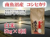 【令和7年産】【定期便&nbsp;南魚沼産】コシヒカリ&nbsp;白米5kg×6回