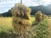 【白米 5kg】農薬化学肥料不使用・天日干し自然乾燥のお米