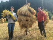 【玄米 5kg】農薬化学肥料不使用・天日干し自然乾燥のお米