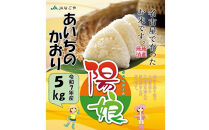 陽娘　あいちのかおり&nbsp;5kg