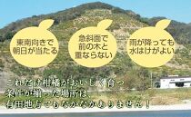 蛍飛ぶ町から旬の便り【贈答用／黒箱入り】有田みかん　ＭサイズまたはＬサイズ30個以上　平武農園