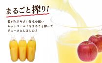 余市まるごと搾り りんごジュース1000ml×3本 北海道産【ポイント交換専用】