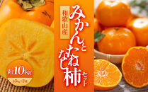 和歌山産&nbsp;みかんとたねなし柿セット&nbsp;10kg(各5kg×2)【ヤマタ大谷商店】