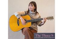 【Three S アコースティックギター】SUZUKI VIOLIN W-450