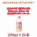 JAわかやま 生姜丸しぼり　Wakayama Ginger Ale　和歌山ジンジャーエール 250ml×24本
